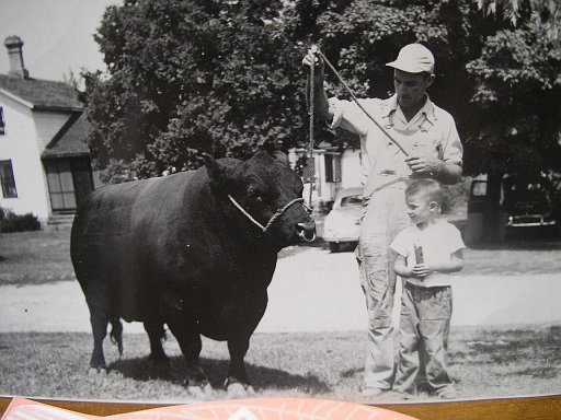 Pearse and Gary with Prize bull 2
